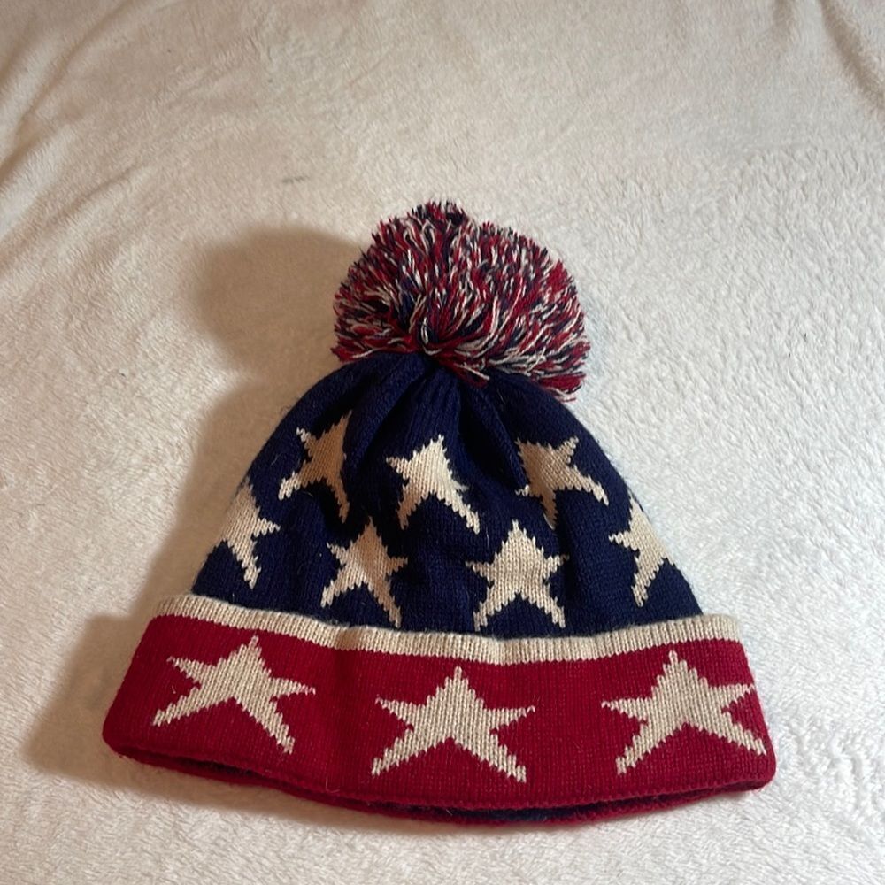 Pugs American Flag Beanie